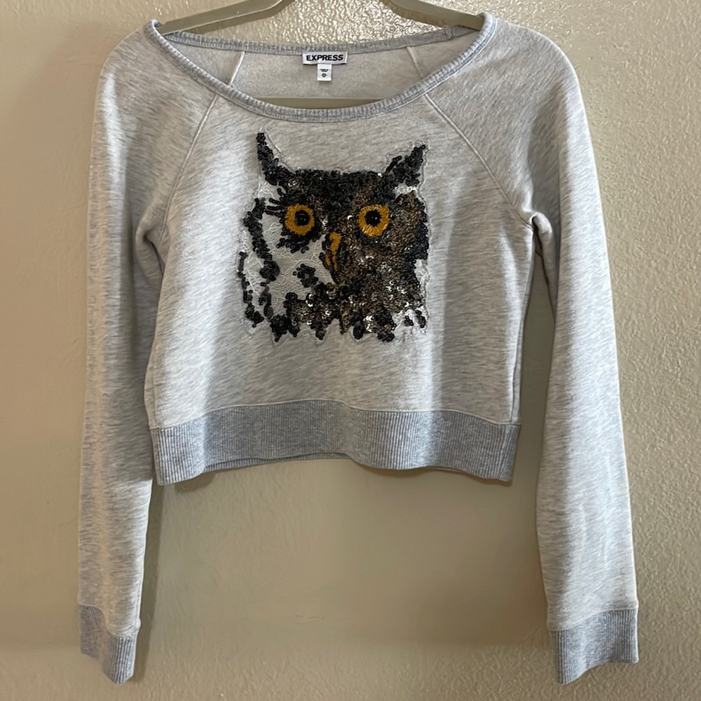 Express crop sweater